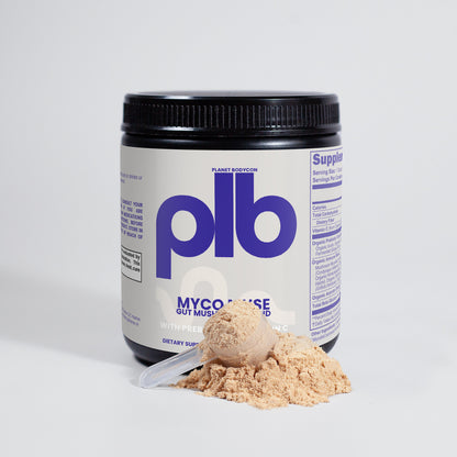 Myco Muse | Fermented Mushroom Blend